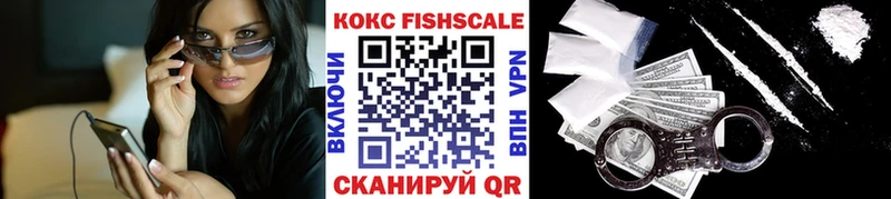 что такое   площадка какой сайт  COCAIN Fish Scale  Струнино 