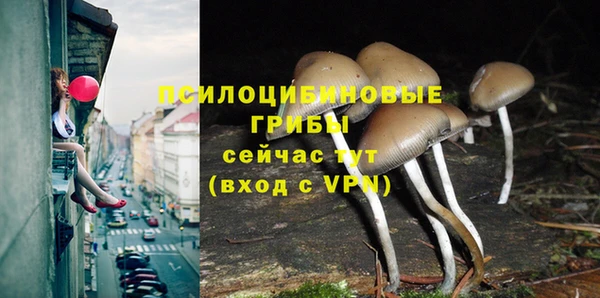 синтетический гашиш Зерноград