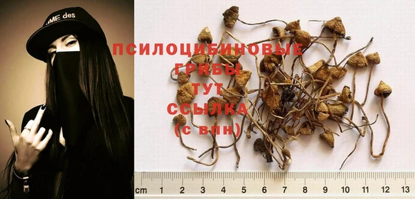 синтетический гашиш Зерноград
