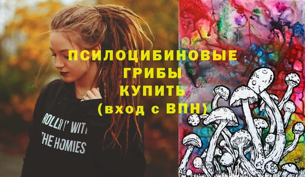 амф Зеленокумск