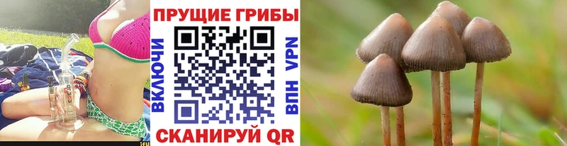 Псилоцибиновые грибы ЛСД  Струнино 
